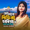 About Amar Pinjira Vangiya Pakhi Jay Uriya Song