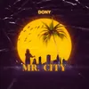 About Mr. City Song