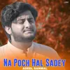 About Na Poch Hal Sady Song