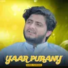 About Yaar Purany Song