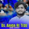 Dil Aahda He Tede