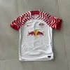 About Ich Hasse Den RB Leipzig Song