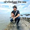 About เจ้าเรือตังเก Song