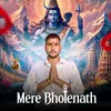 About Mere Bholenath Song