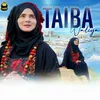 About Taiba Waliya Song