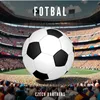 About Fotbal Song