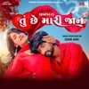 About Tu Che Mari Jaan Song