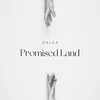 About Promised Land Song