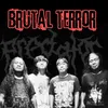 About Brutal Terror Song