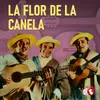 About La Flor De La Canela Song