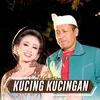 About Kucing Kucingan Song