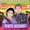 About Pentil Kecakot Song
