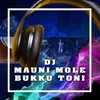 DJ Mauni Mole Bukku Toni