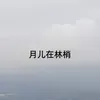 About 月儿在林梢 Song