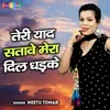 About Teri Yaad Satawe Mera Dil Dhadke Song