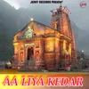 About Aa Liya Kedar Song