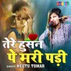 About Tere Hushan Pe Mari Padi Song