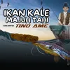 IKAN KALE MAJUH TAHI