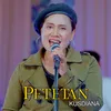 About Petetan Song