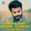 About Janana lewe akhatar Ta Rasha Song