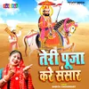 About Teri Puja Kare Sansar Song