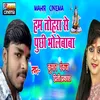 About Ham Tohara Se Puchhi Bholebaba Song