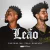 About Leão Song