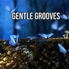 Gentle Grooves
