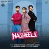 About Nain Nasheele Song