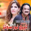 About Teri Tor Sajen Song