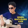 About Rindu Bapusarokan Song