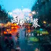 雨中的帷幕