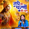 About Radhe Tere Charno Ki Dhul Song