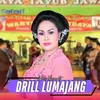 About Dril Lumajang Song