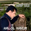 About Halol Nokım Song