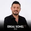 About Dilek Song