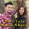 About Pori Tula Hanin Ghara Song