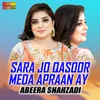 About Sara Jo Qasoor Meda Apraan Ay Song