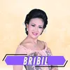 About Bribil Song