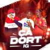 About ça dort ? Song