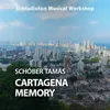 About Cartagena Memory Song