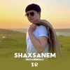 About Shaxsanem Song