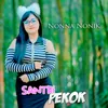 Santri Pekok