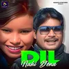 About Dil Nahi Dena Song