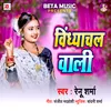 About Bindhanchal Wali Song