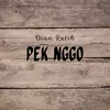 About Pek Nggo Song