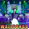 About Walisongo Song