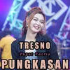 About Tresno Pungkasan Song