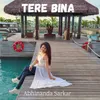 Tere Bina