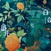 About 百合盛开 Song